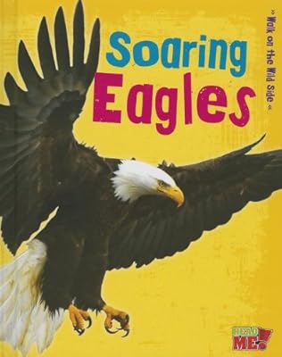 Soaring eagles