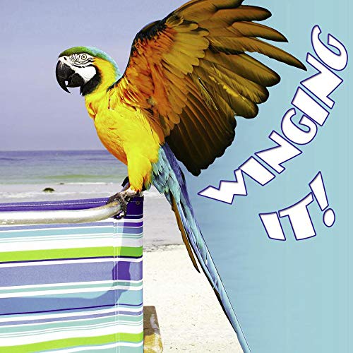 Winging It! (Animal Board Books) by Cindy Rodriguez