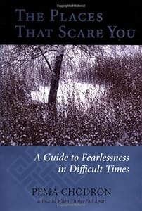 The Places That Scare You: A Guide to Fearlessness in Difficult Times