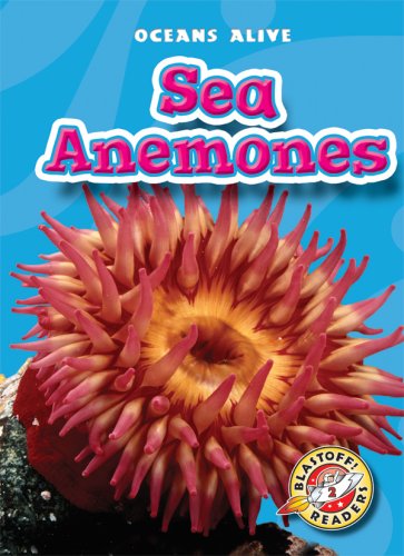 Sea Anemones by Martha E. H. Rustad
