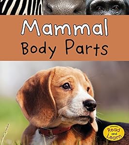 Fish Body Parts