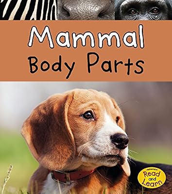Fish Body Parts