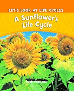 A Sunflower's Life Cycle