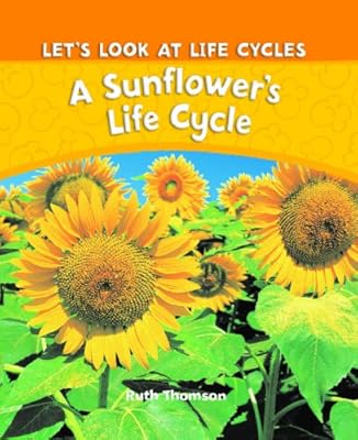 A Sunflower's Life Cycle