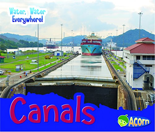 Canals by Diyan Leake