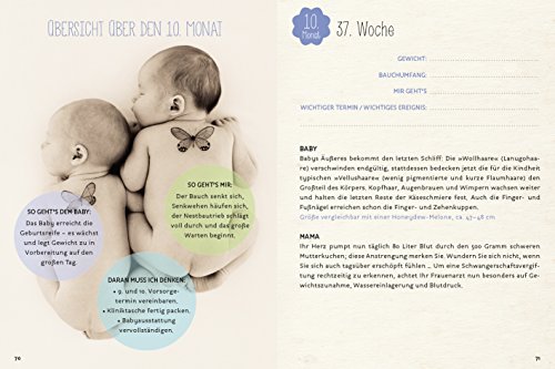 Schwangerschaftstagebuch: Anne Geddes - 