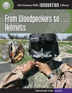 From Woodpeckers To... Helmets