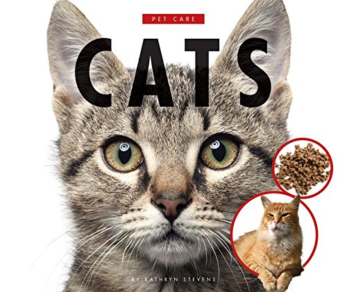 Cats by Kathryn Stevens