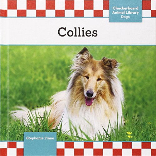 Collies by Stephanie Finne