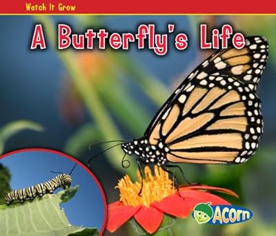 A Butterfly's Life