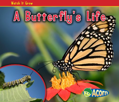 A Butterfly's Life by Nancy Dickmann