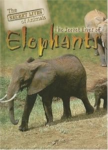 The Secret Lives of Elephants (The Secret Lives of Animals)