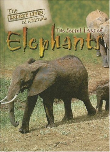 The Secret Lives of Elephants (The Secret Lives of Animals) by Julia Barnes