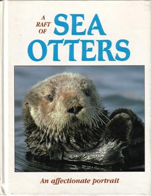 A Raft of Sea Otters