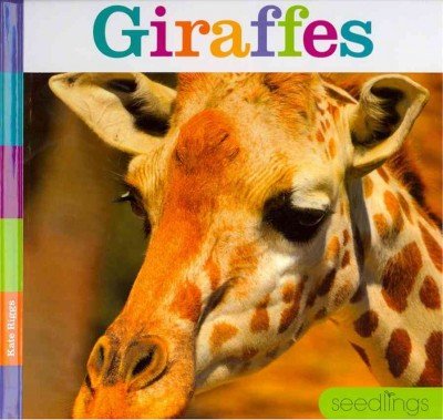 Giraffes