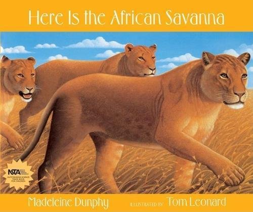 Here Is the African Savanna (Web of Life) by Madeline Dunphy