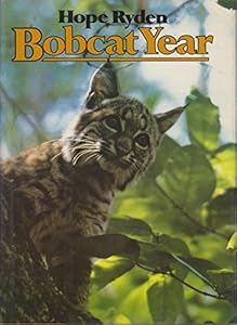 Bobcat Year