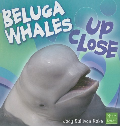 Beluga Whales Up Close (First Facts) by Jody Sullivan Rake