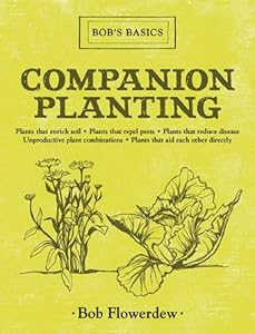 Companion Planting: Bob's Basics