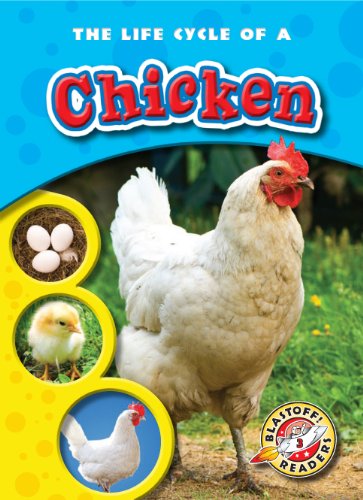 The Life Cycle of a Chicken by Colleen Sexton