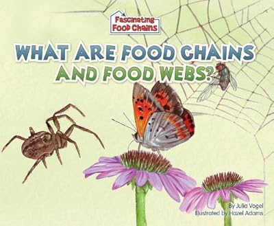 What Are Food Chains and Food Webs? (Fascinating Food Chains)