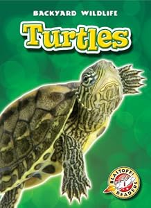 Turtles by Emily Green