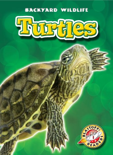 Turtles by Emily Green