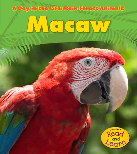 Macaw by Anita Ganeri