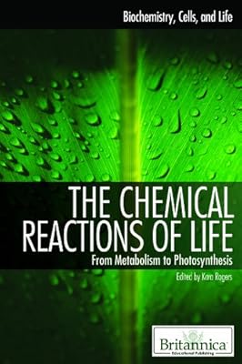The Chemical Reactions of Life: From Metabolism to Photosynthesis