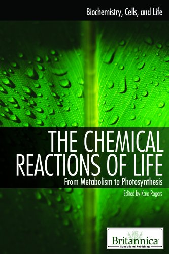 The Chemical Reactions of Life: From Metabolism to Photosynthesis by Kara Rogers  (Editor)