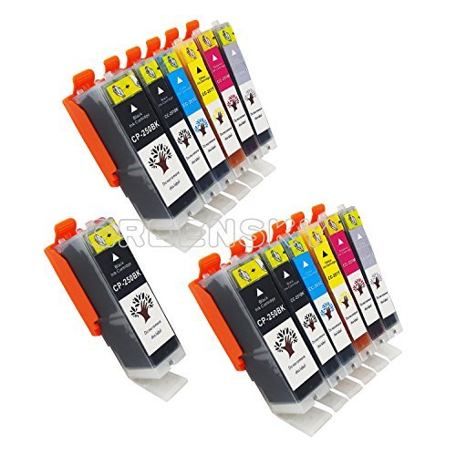 GREENSKY 13 Packs Compatible Ink Cartridge Replacement For Canon PGI-250 & CLI-251 (3BX,2B,2C,2M,2Y,2G) Compatible With Canon PIXMA MG5520 MG5420 MG6320 MG7120 MX722 MX922 iP7220 iP8720 iX6820 etc