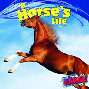 A Horse's Life