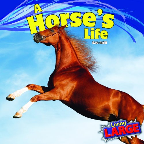 A Horse's Life by Sara Antill