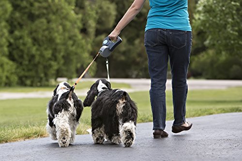 

Wigzi Dual Doggie Retractable Leash for Dogs, Up to 10' Length