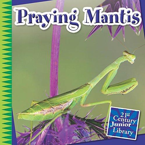 Praying Mantis by Tamra Orr