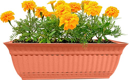 

Misco WB2459-051 Milano Window Box, 24-Inch, Clay