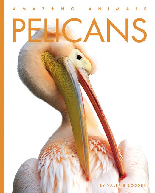 Pelicans by Valerie Bodden
