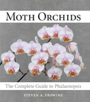 Moth Orchids: The Complete Guide to Phalaenopsis