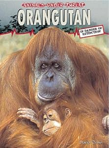 Orangutan (Animals Under Threat)