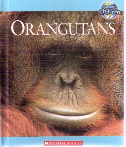 Orangutans - Nature's Children by Jolyon Goddard