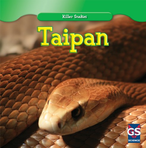 Taipan by Shanya Worthy
