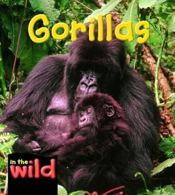 Gorillas (In the Wild)