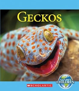 Geckos