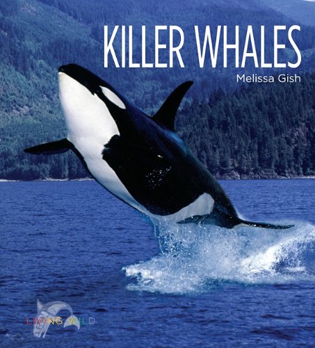 Killer Whales by Melissa Gish