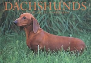 Dachshunds
