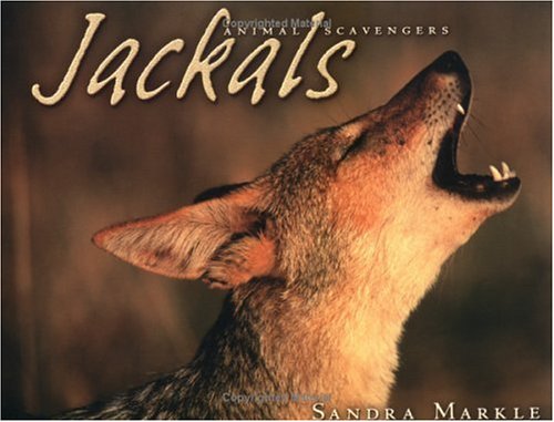 Jackals (Animal Scavengers) by Sandra Markle