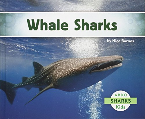Whale Sharks by Nico Barnes