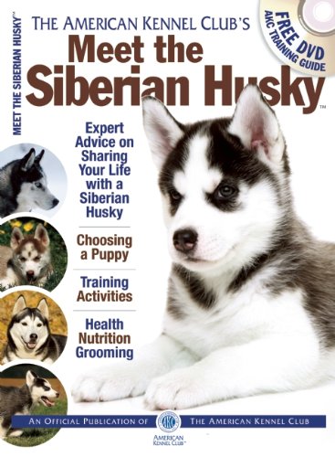Meet the Siberian Husky by American Kennel Club