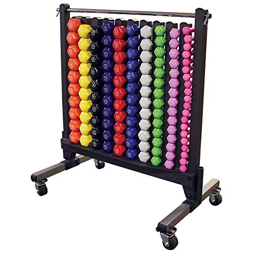 Algopix Similar Product 10 - BodySolid Commercial Dumbbell Rack