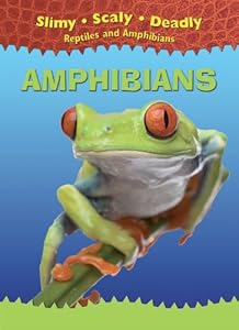 Amphibians (Slimy, Scaly, Deadly Reptiles and Amphibians)